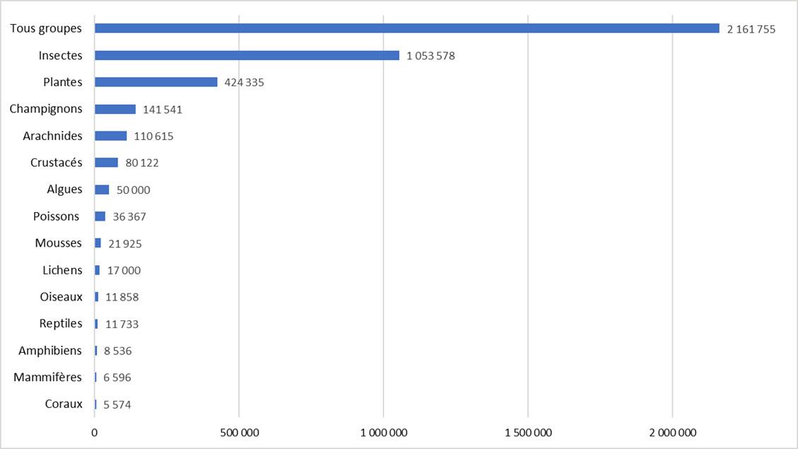 Estimation du nombre d'espèces dans le monde